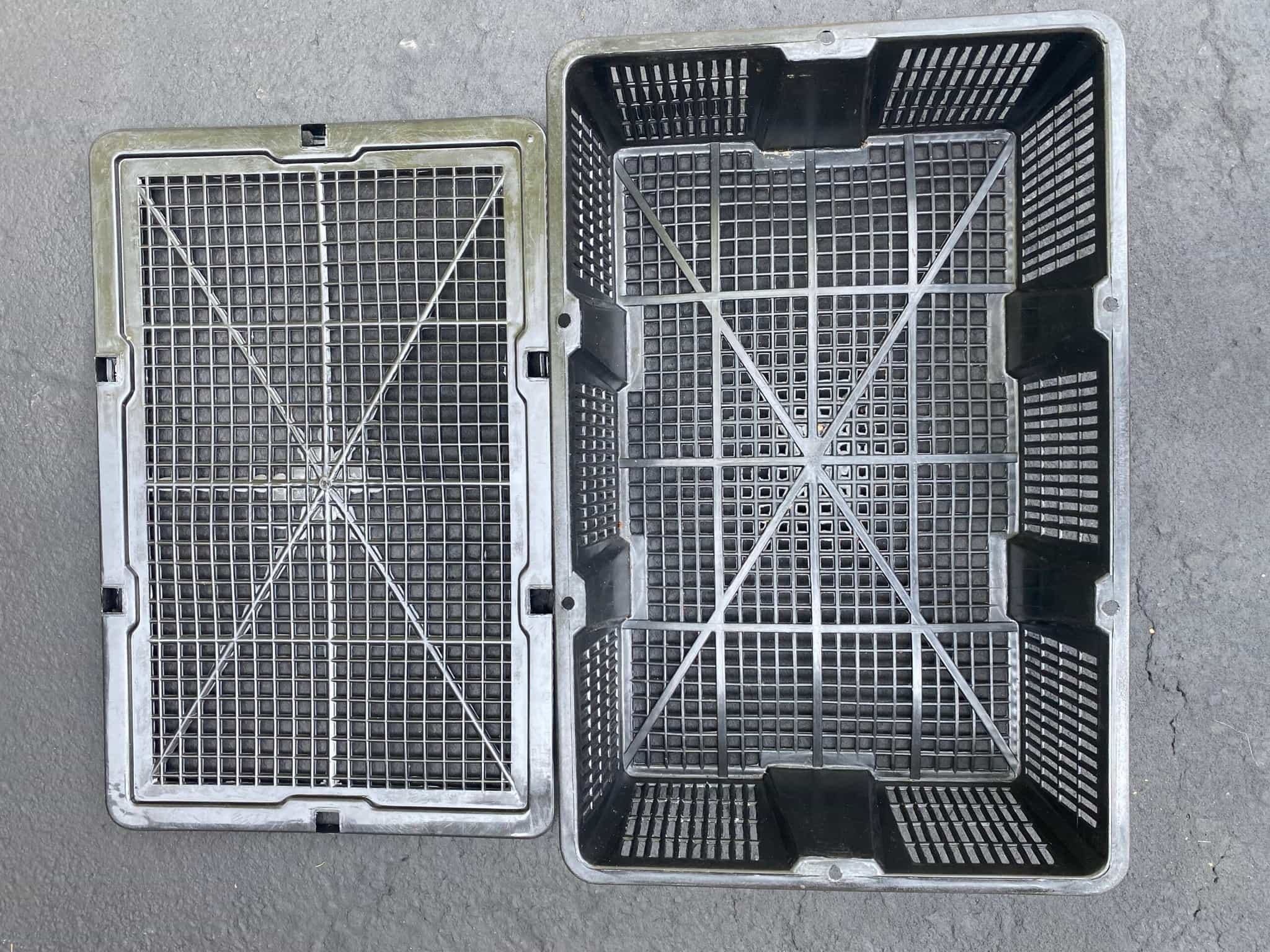 Mushroom Baskets 5-Pack with Lids