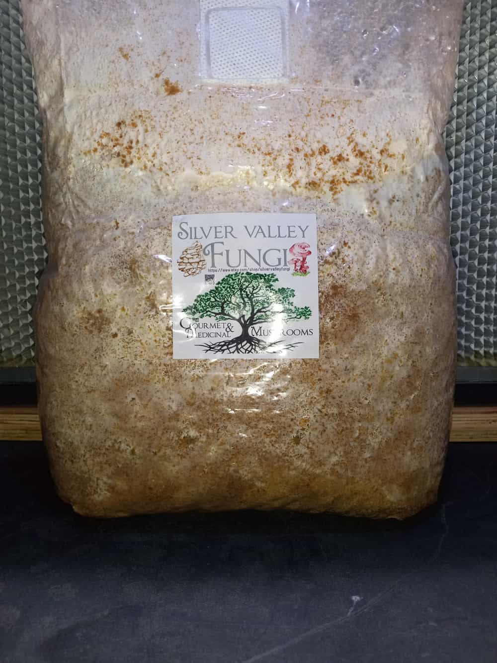 Chicken Of The Woods Mushroom Block 10Lb, Grow It On The Block, Use As