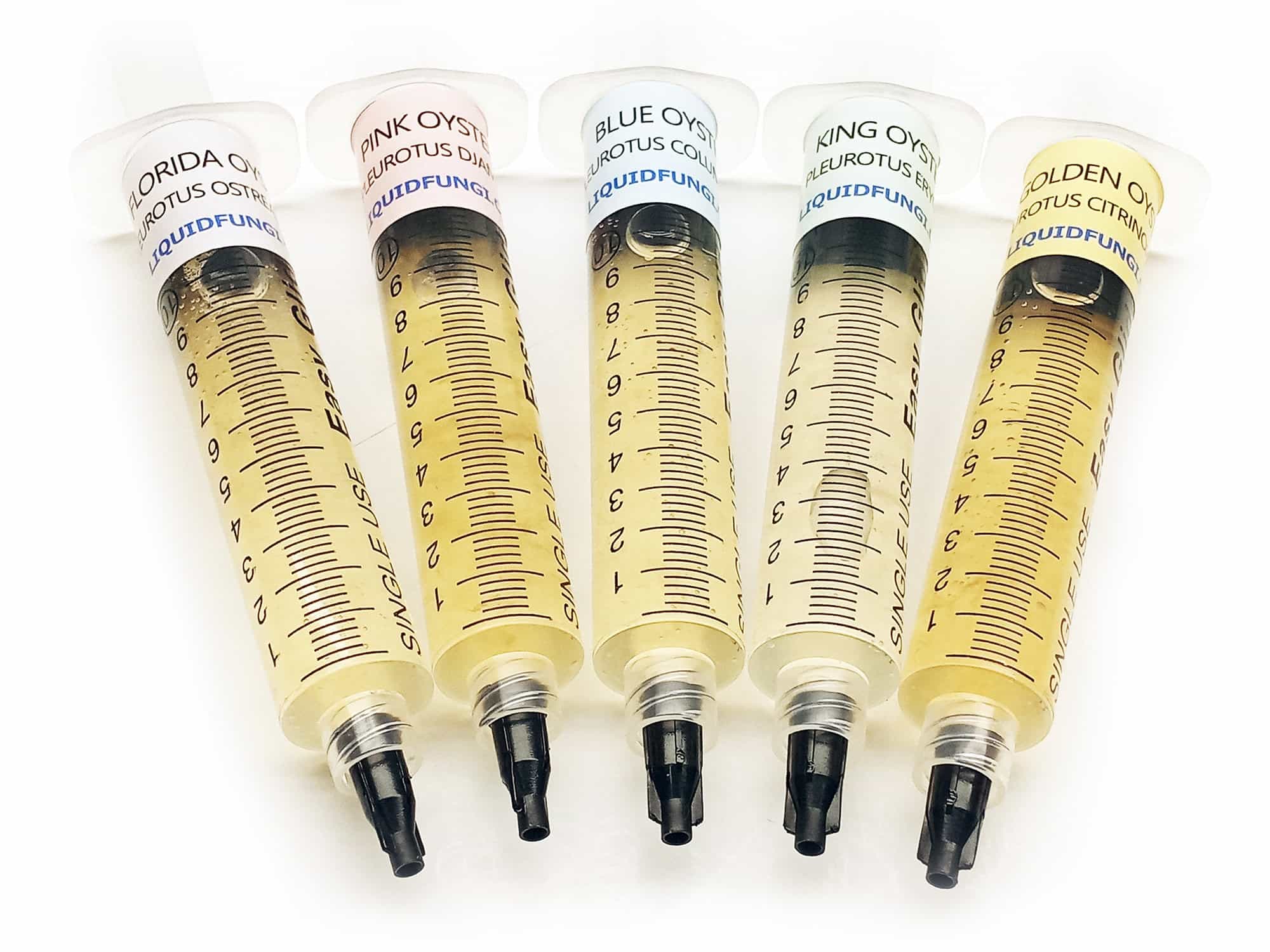 Oyster Mushroom Liquid Culture Syringe 5 Pack