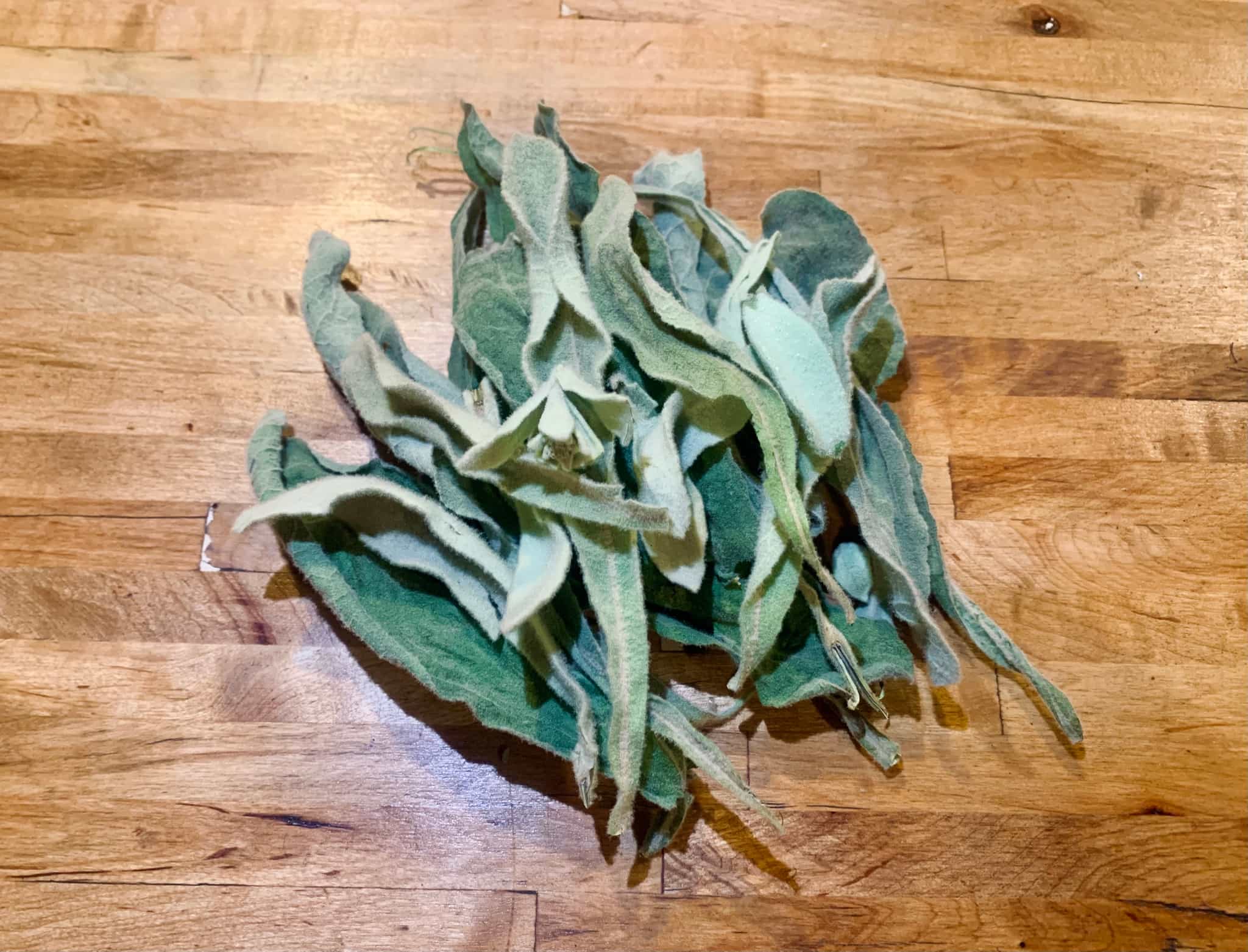 Illinois dried Mullein leaves (first year)