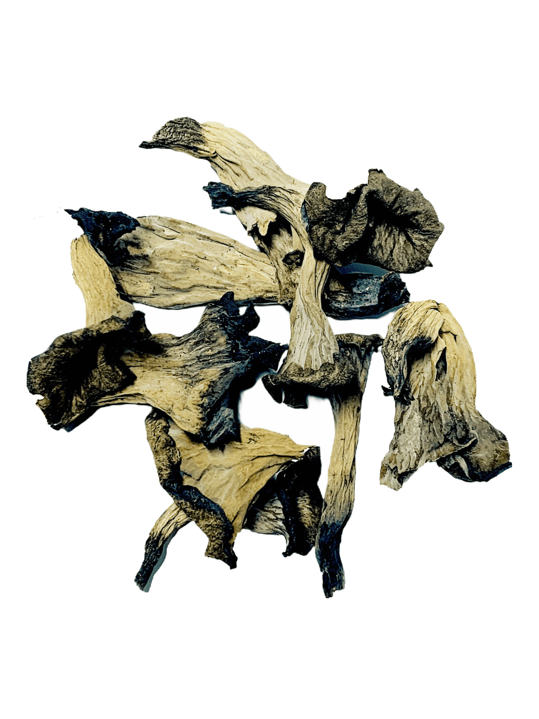 Dried Black Trumpet Mushrooms