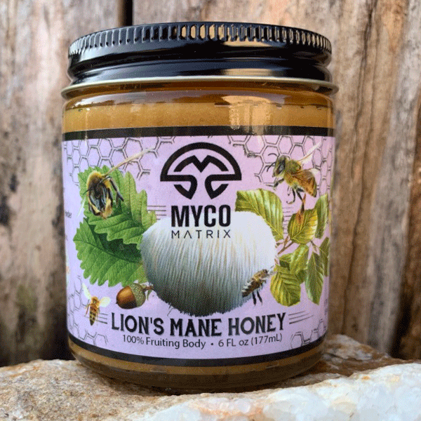 Lions Mane MycoHoney™