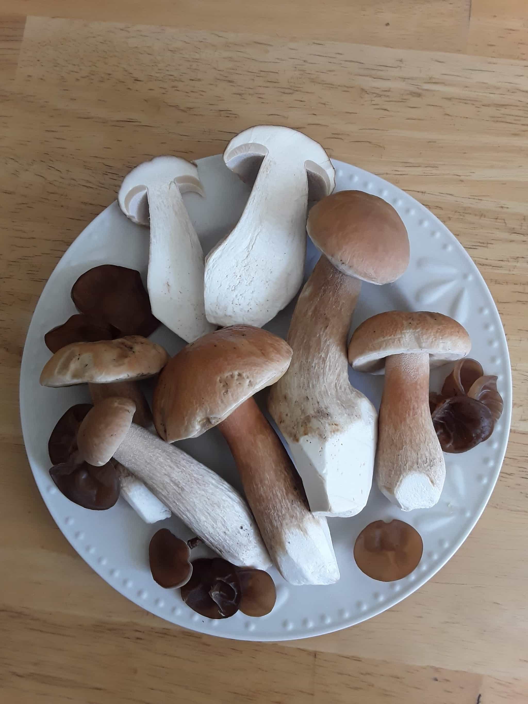 Porcini Umami Blend