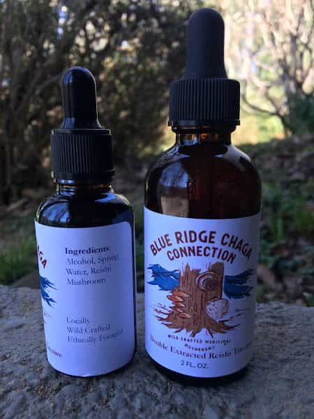 Reishi double extracted 2oz tincture