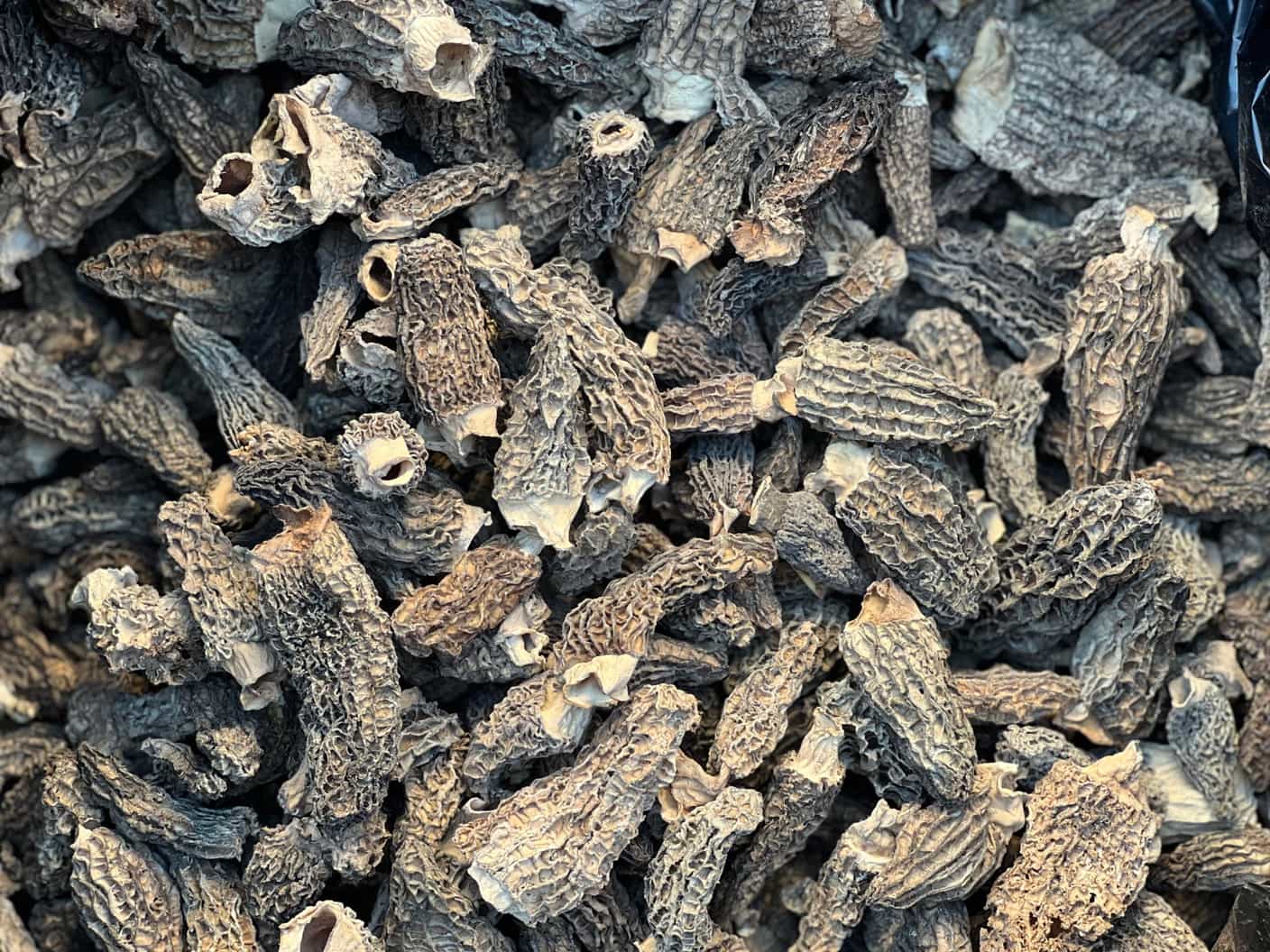 Dried morels Foraged