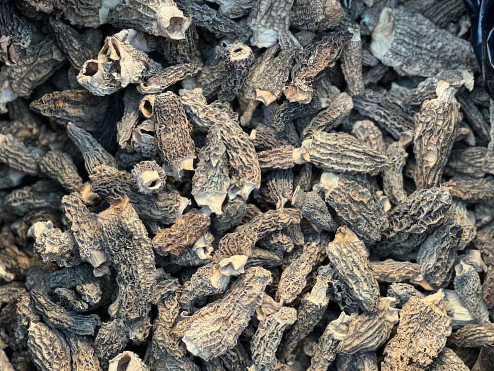 Dried morels Foraged