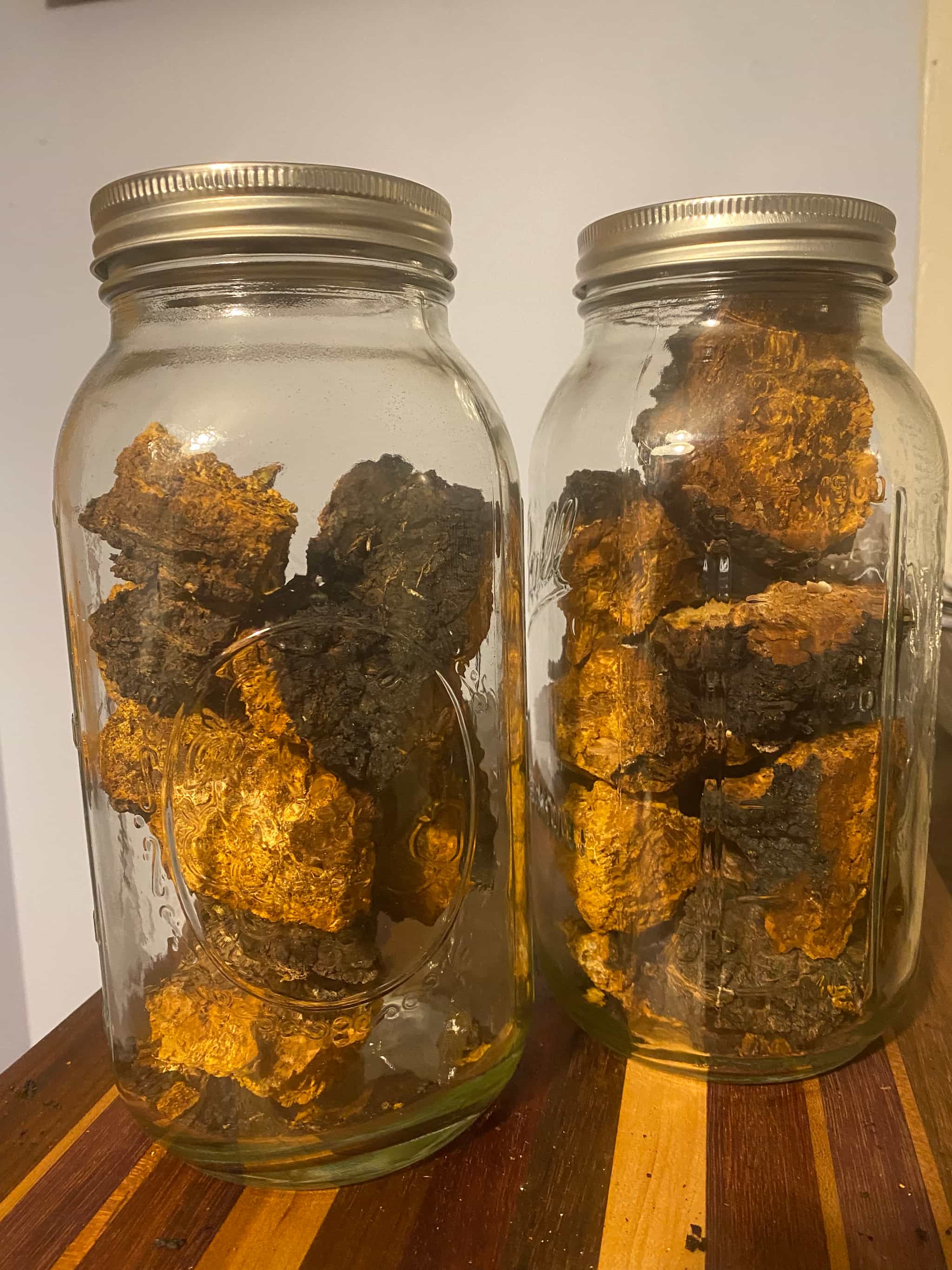 Wild Harvested Naturally Dried Chaga Chunks 