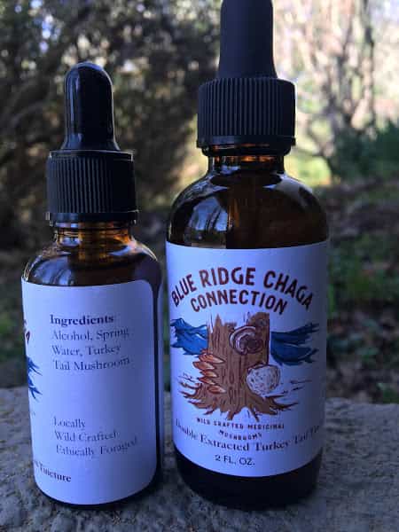 Turkey Tail 2oz double extracted tincture