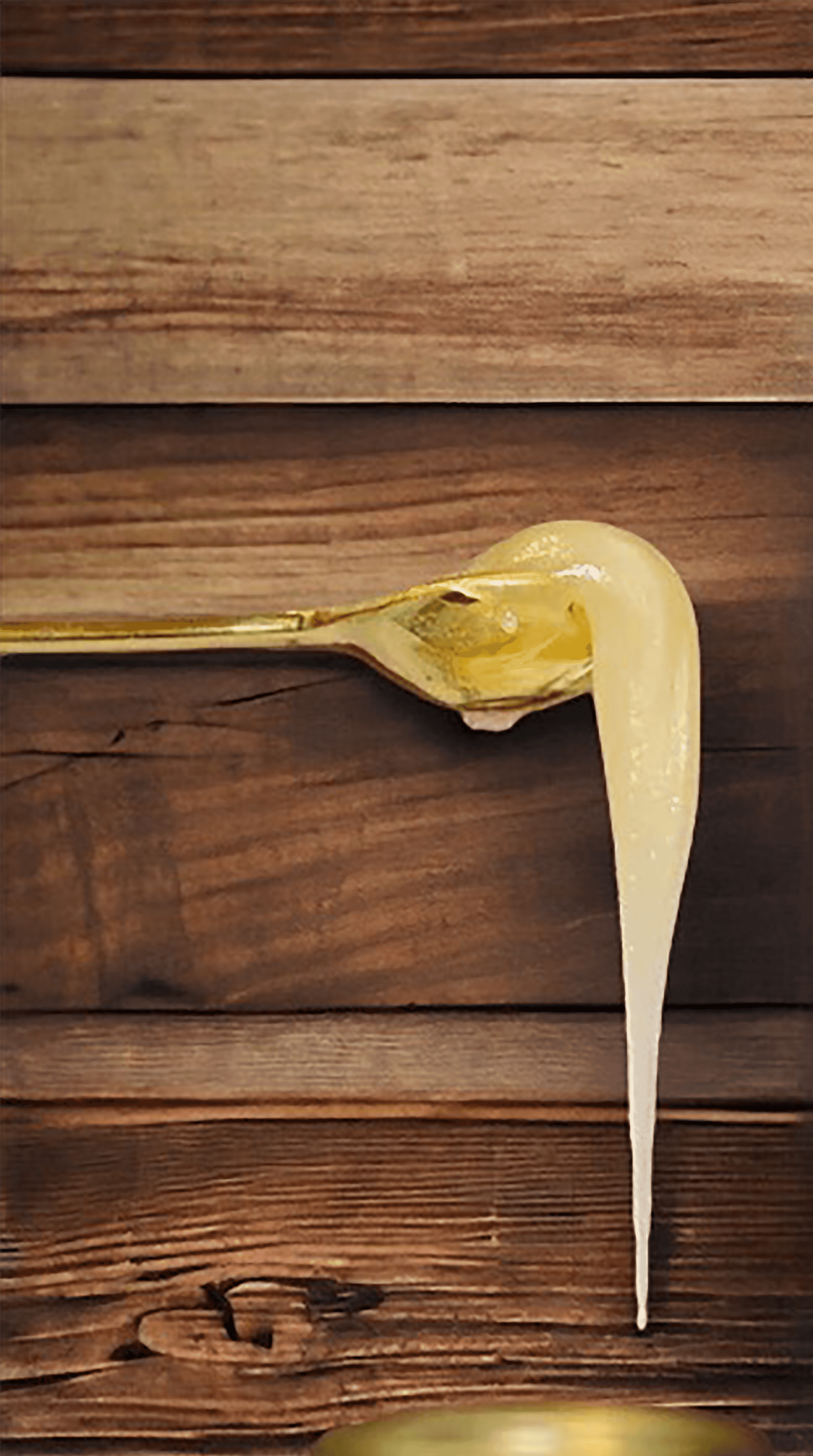5lbs 100% Raw-Creamy Virgin Clover Honey - Best Seller - FREE SHIPPING