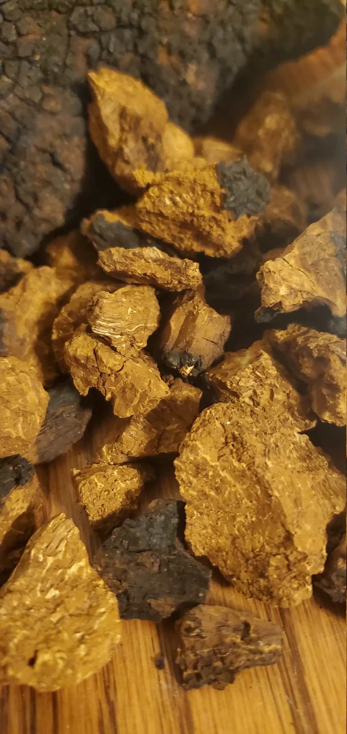 Wild Catskill Forest Chaga Chunks, Kindly Harvested Inonotus obliquus, Hua Jie Kong Jun 