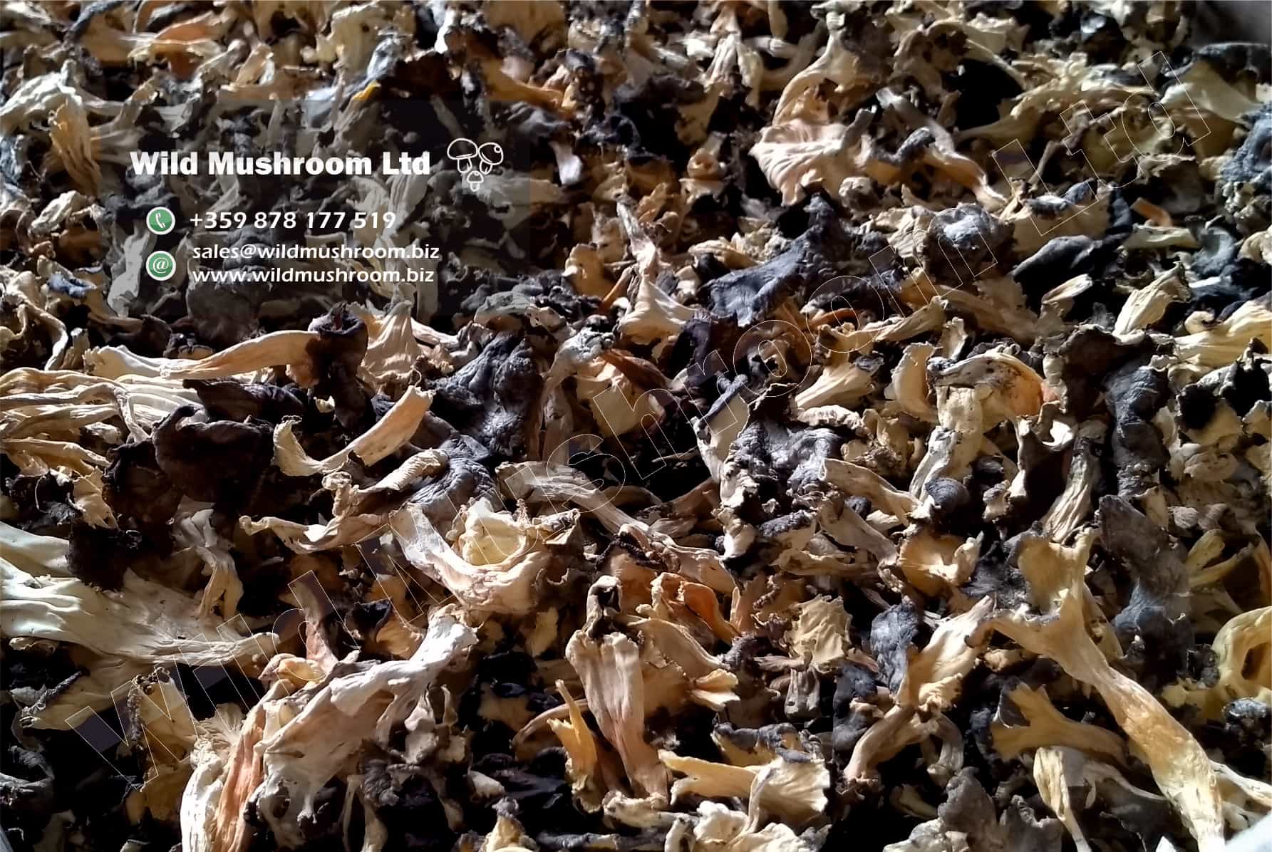 Product image #2