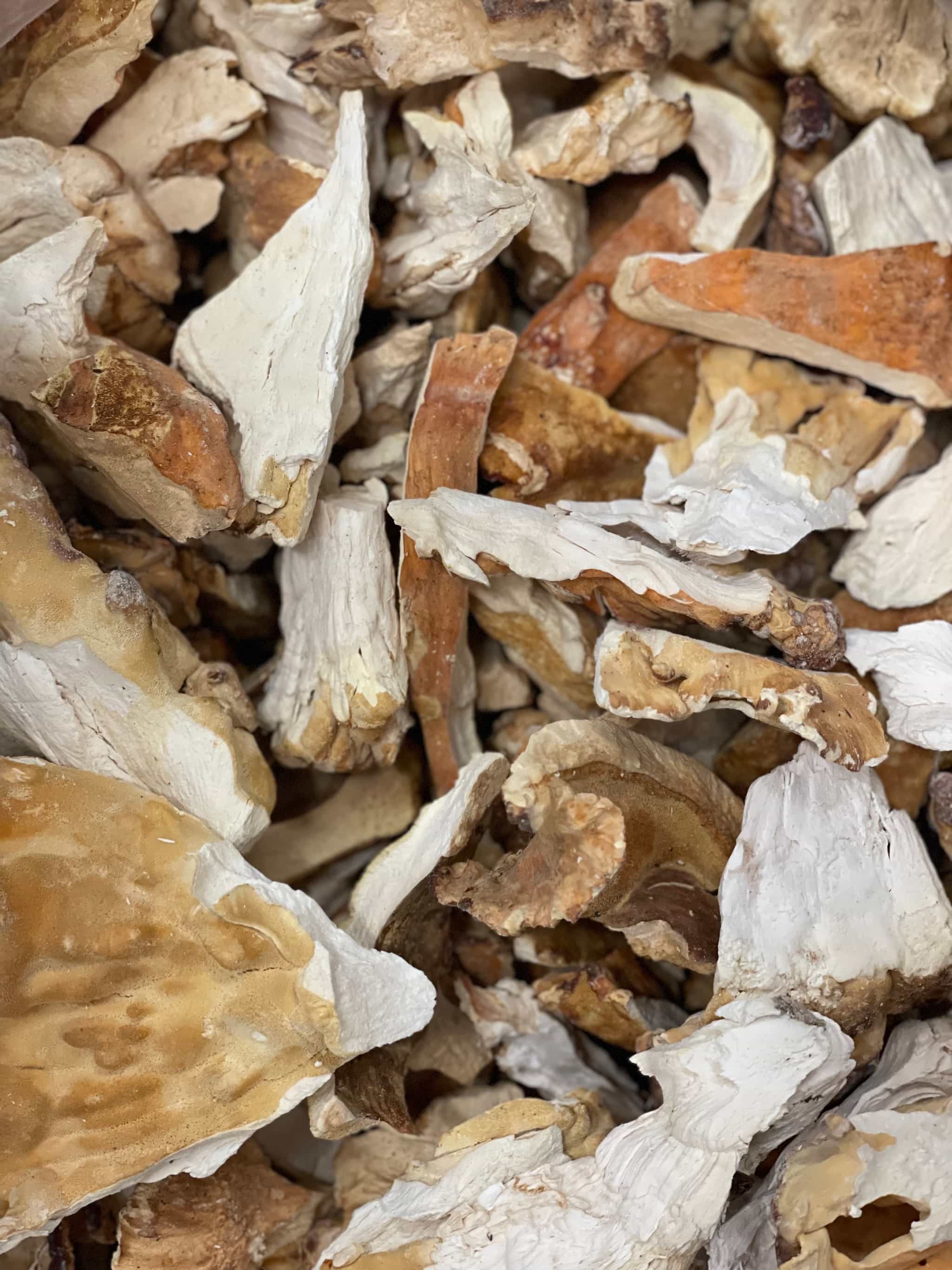 Dried Wild Chicken of the Woods