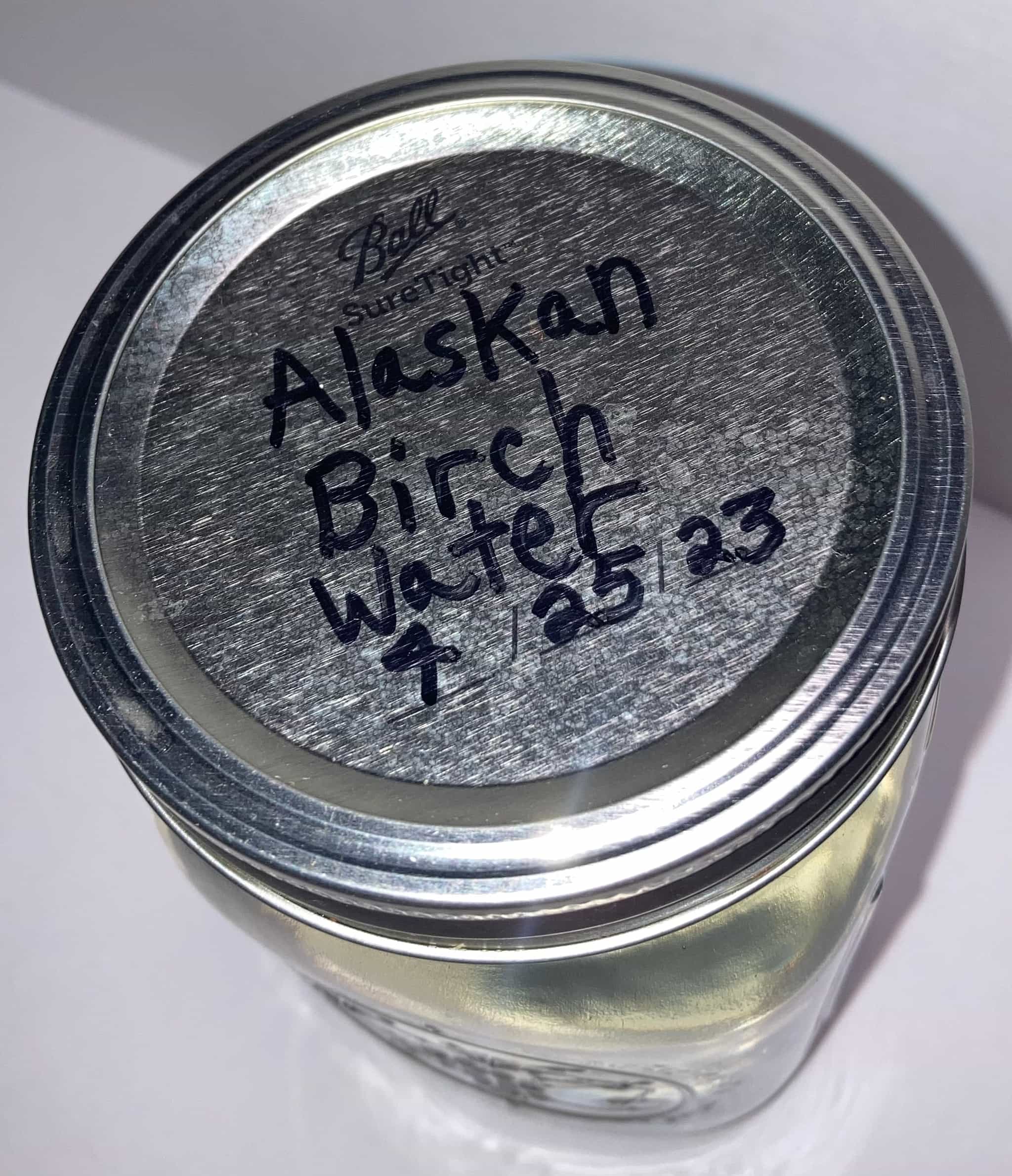 Alaskan Wild Birch Water Tree Sap