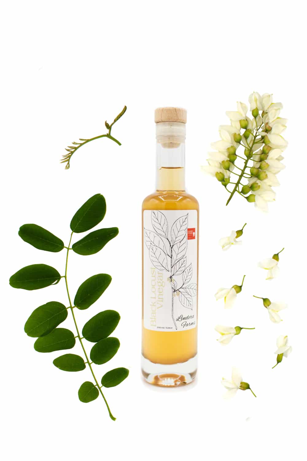 Black Locust Vinegar