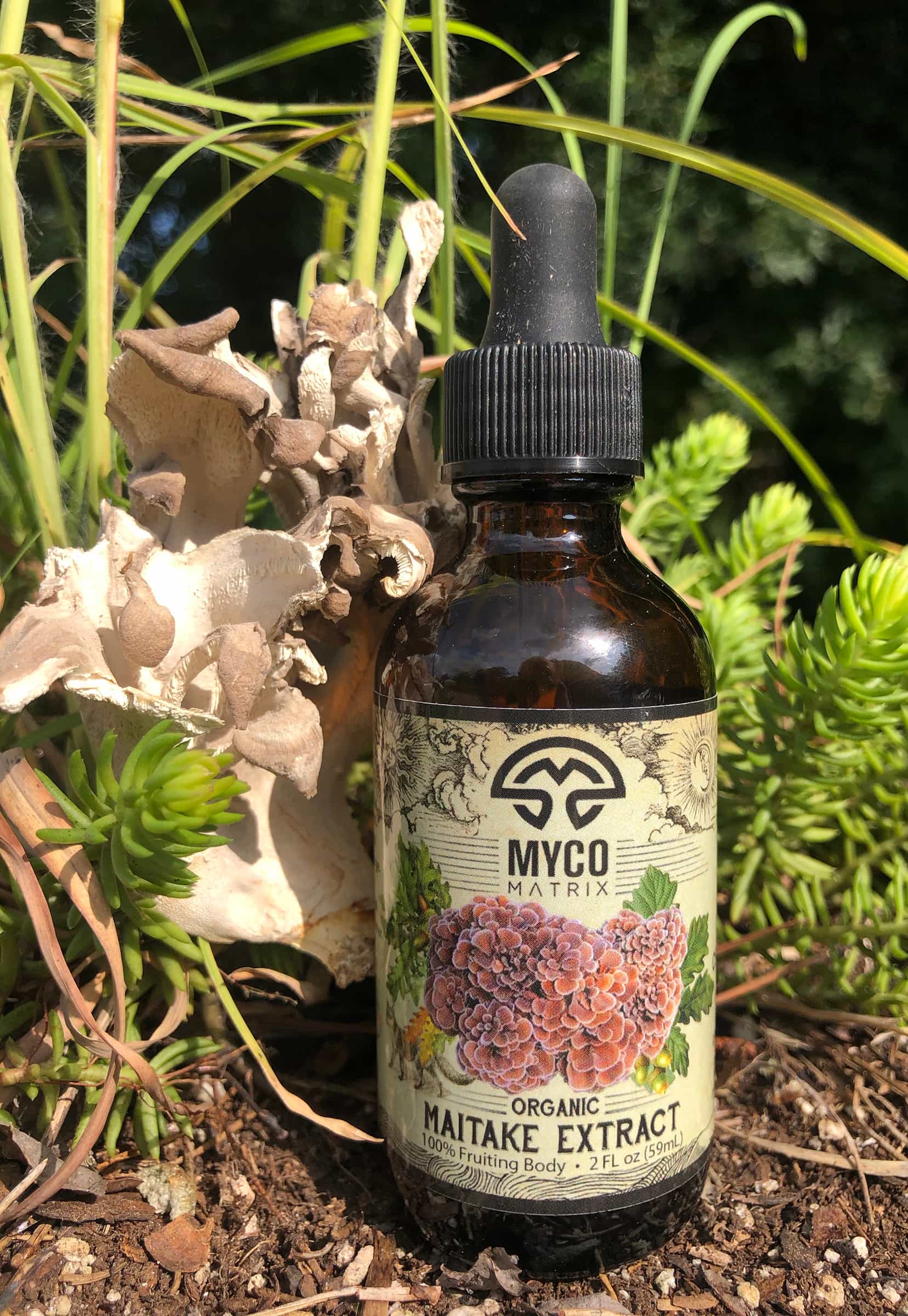 Mycomatrix MAITAKE Adaptogenic Mushroom Extract - 8 oz bottle