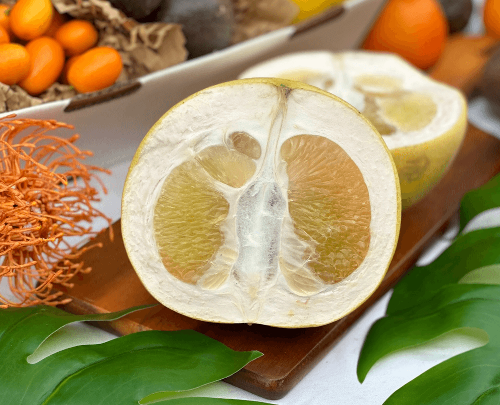 Big Juicy Pomelos, 4lb Box Foraged
