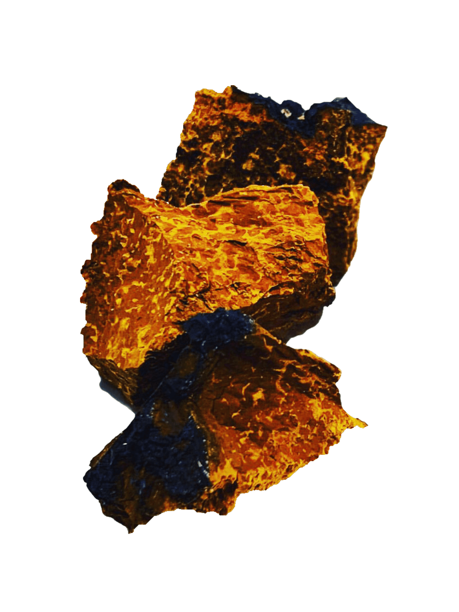 Chaga Chunks (4 oz)