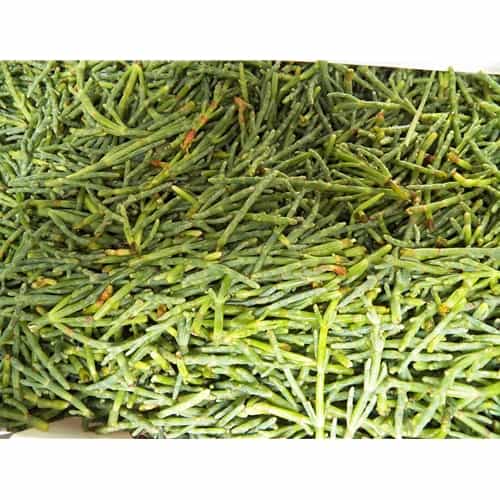 Fresh Wild Sea Beans