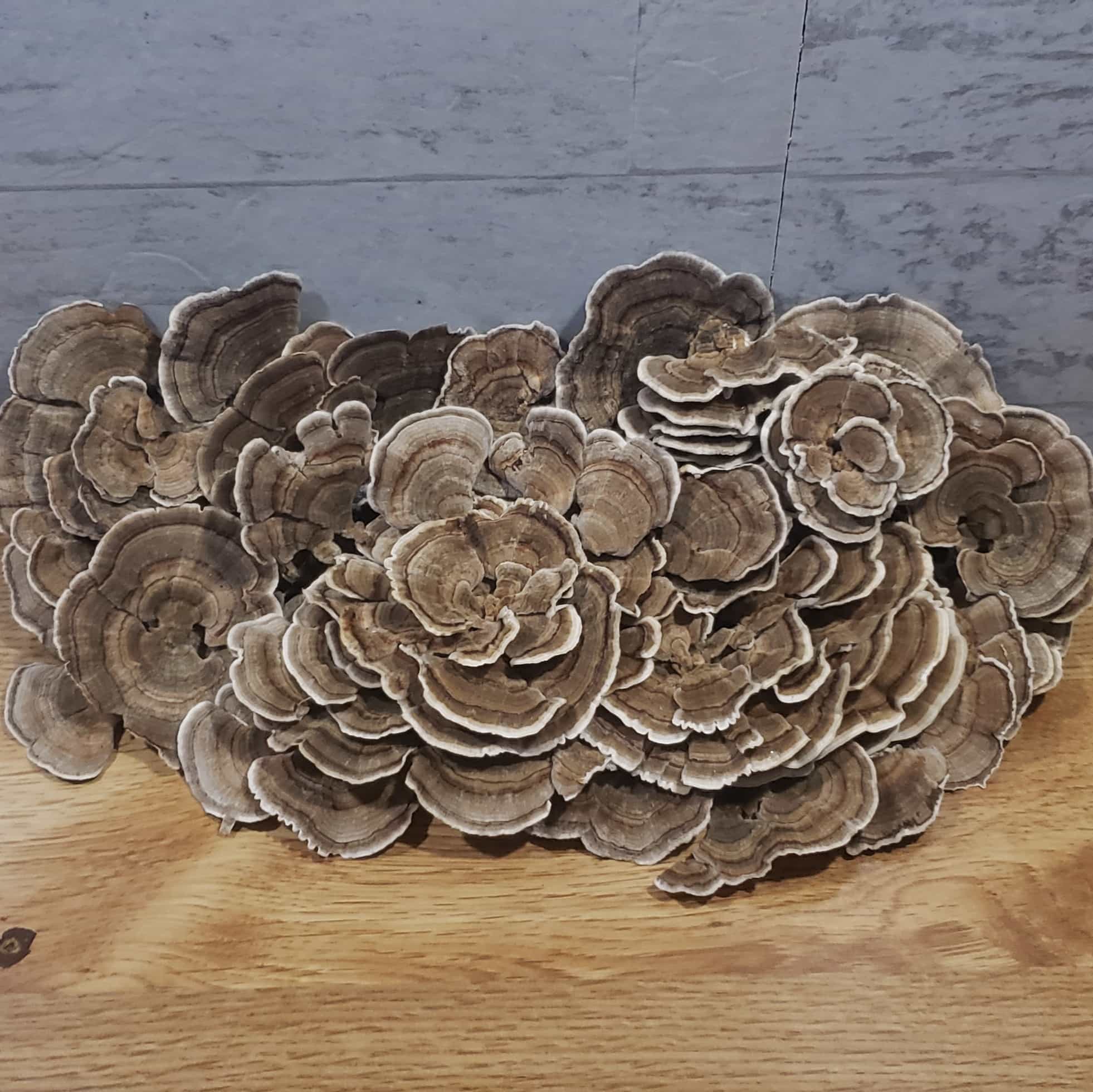 Product image #0