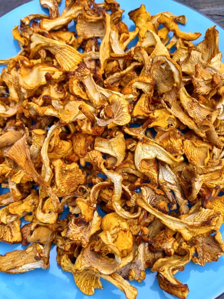 Chanterelles and Porcini Mushrooms in the Dehydrator Stock Photo