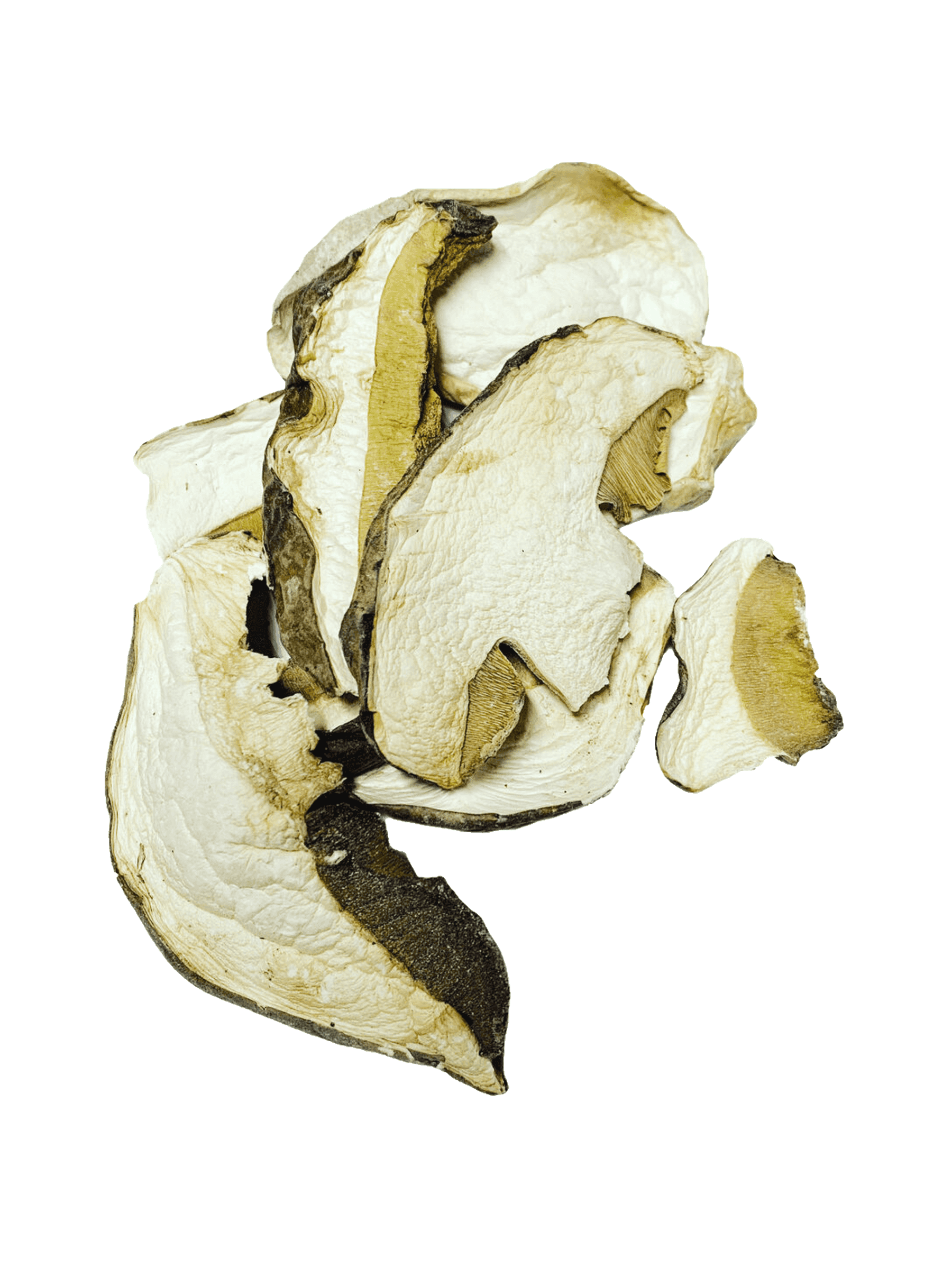 Product image #0