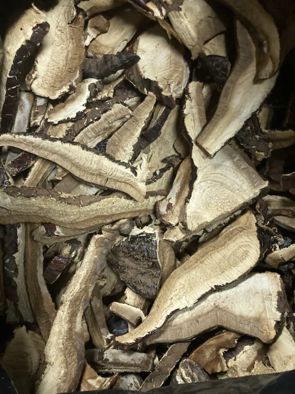 Dried Wild USA Reishi
