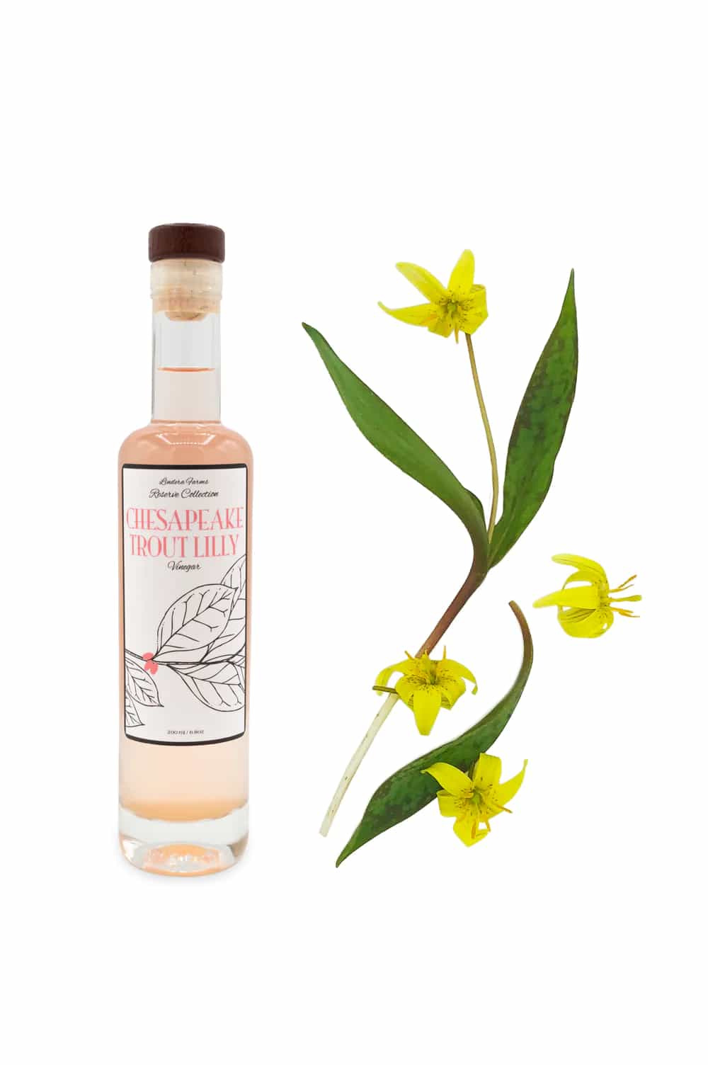 Chesapeake Trout Lilly Vinegar