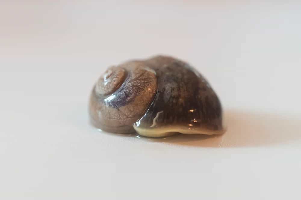 Product image #2