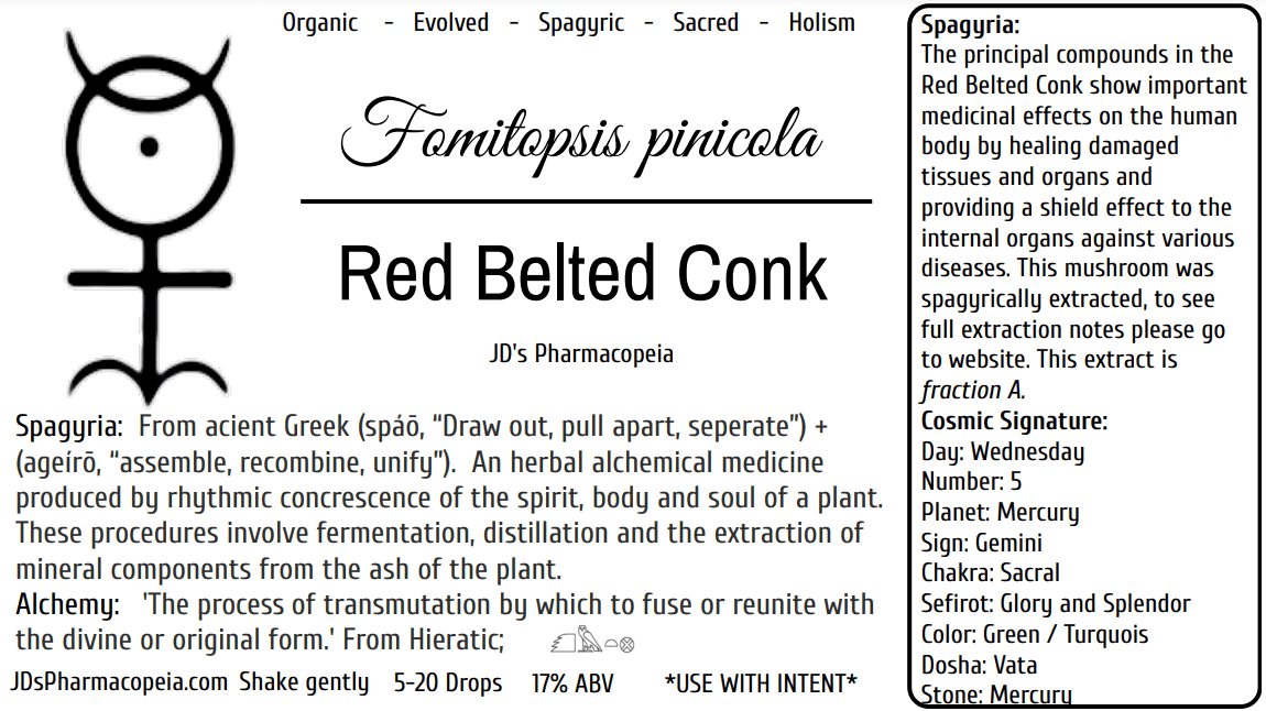 Red Belted Conk - Fomitopsis pinicola
