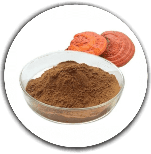 Reishi Extract (Ganoderma lingzhi)
