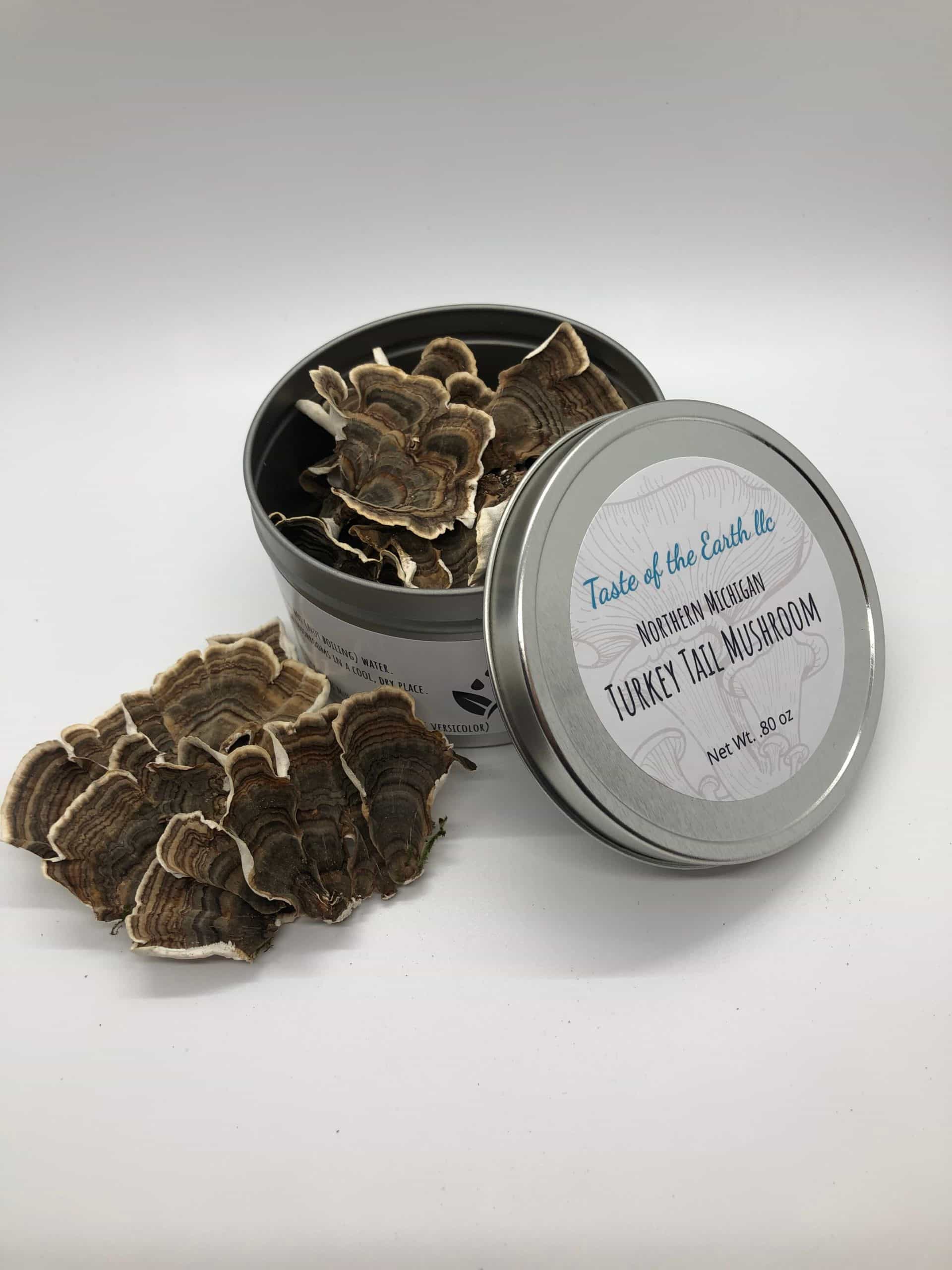 Turkey Tail Mushroom - Dried