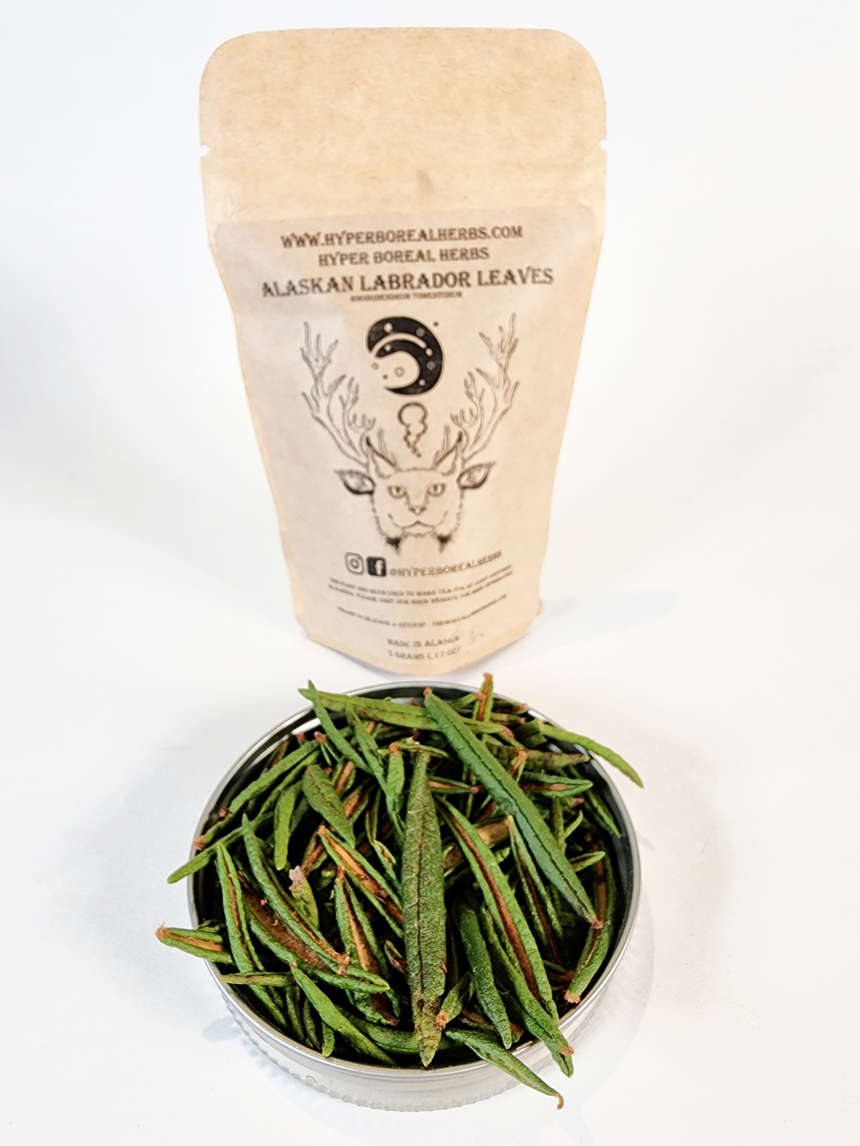 Wild Alaskan Labrador Tea, Rhododendron Tomentosum