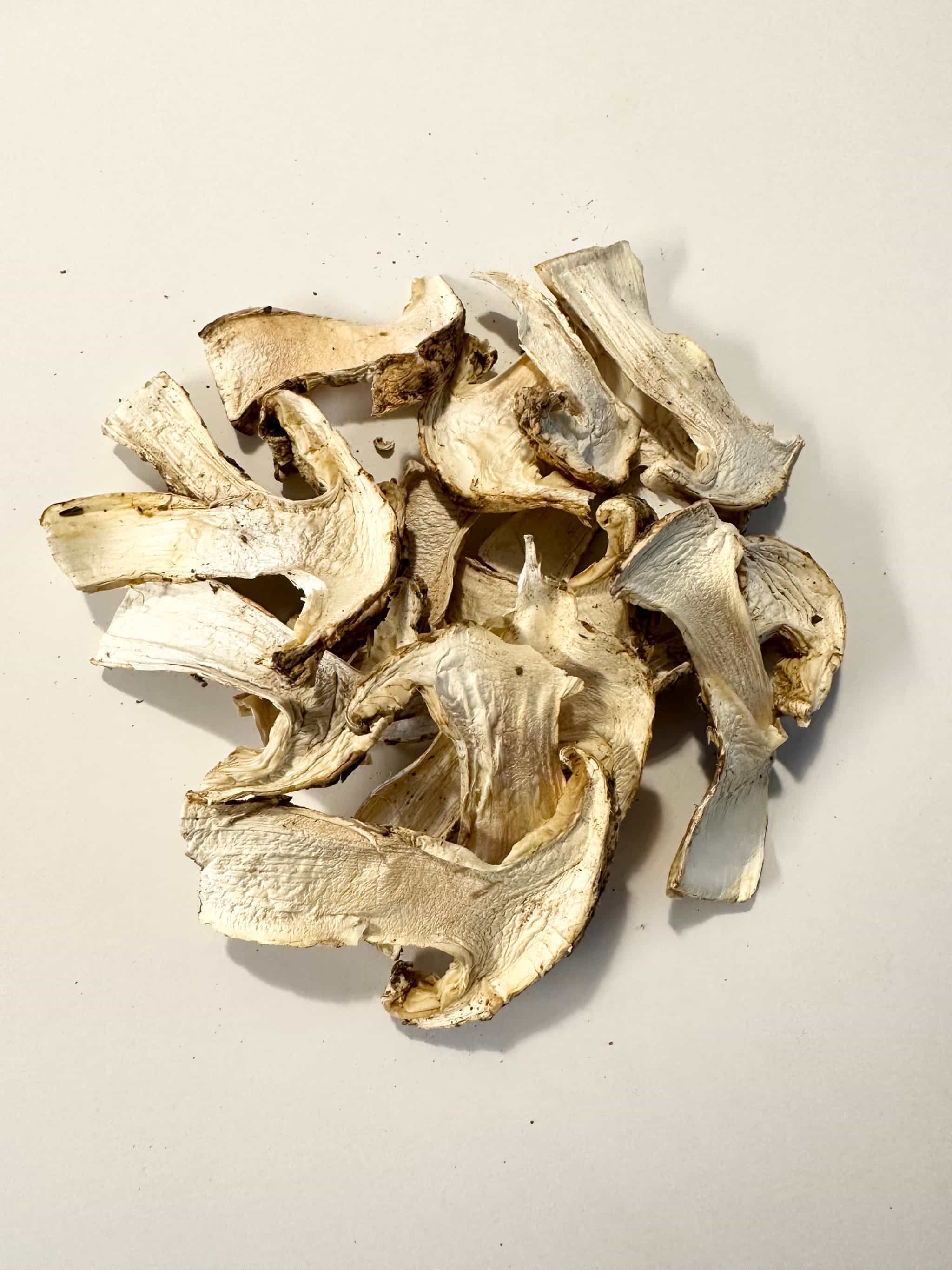Dried Wild Matsutakes