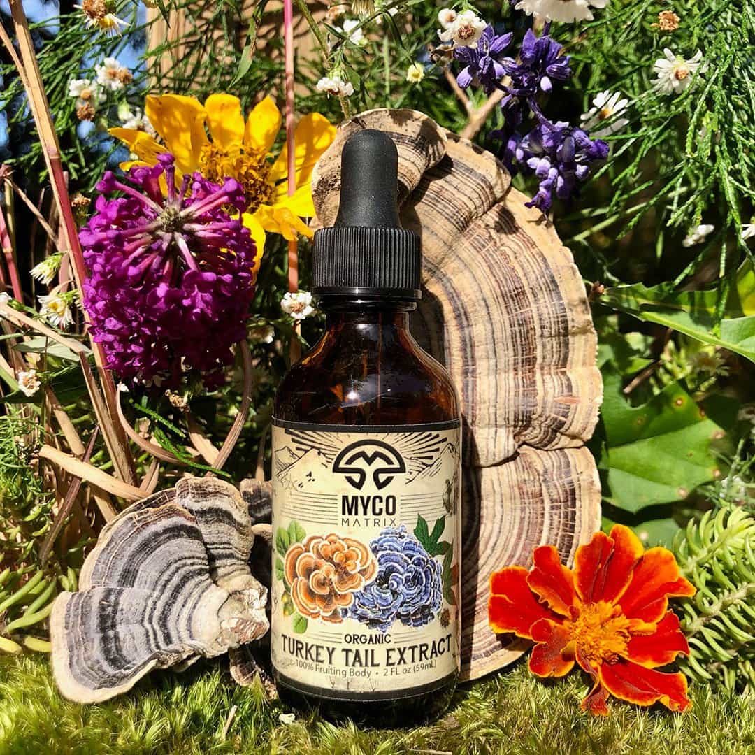 Mycomatrix TURKEY TAIL Adaptogenic Mushroom Extract