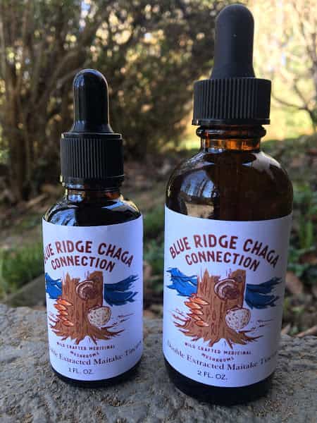 Maitake 2 oz Double Extracted Tincture