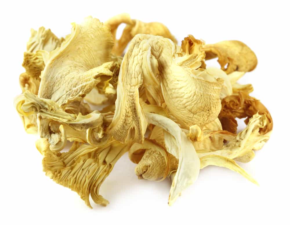 Dried Oyster Mushroom