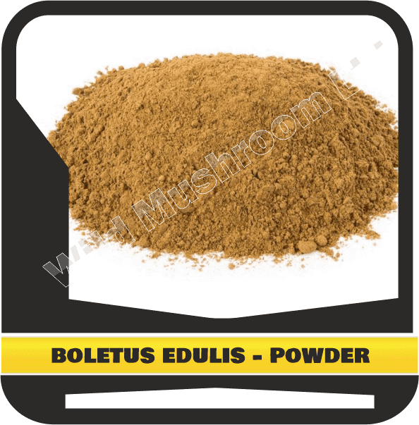 Dried Boletus edulis (porcini) - powder