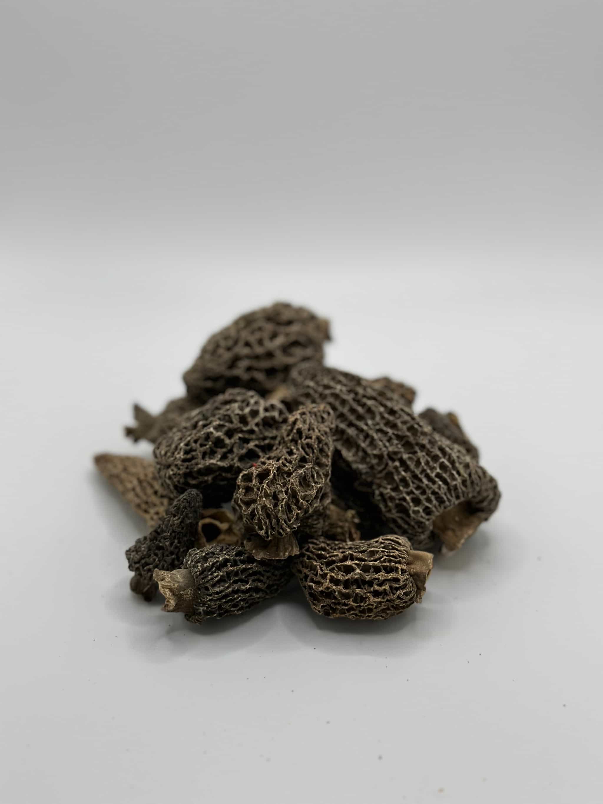 Dried Wild Gray Morel Mushrooms - 4 oz. 