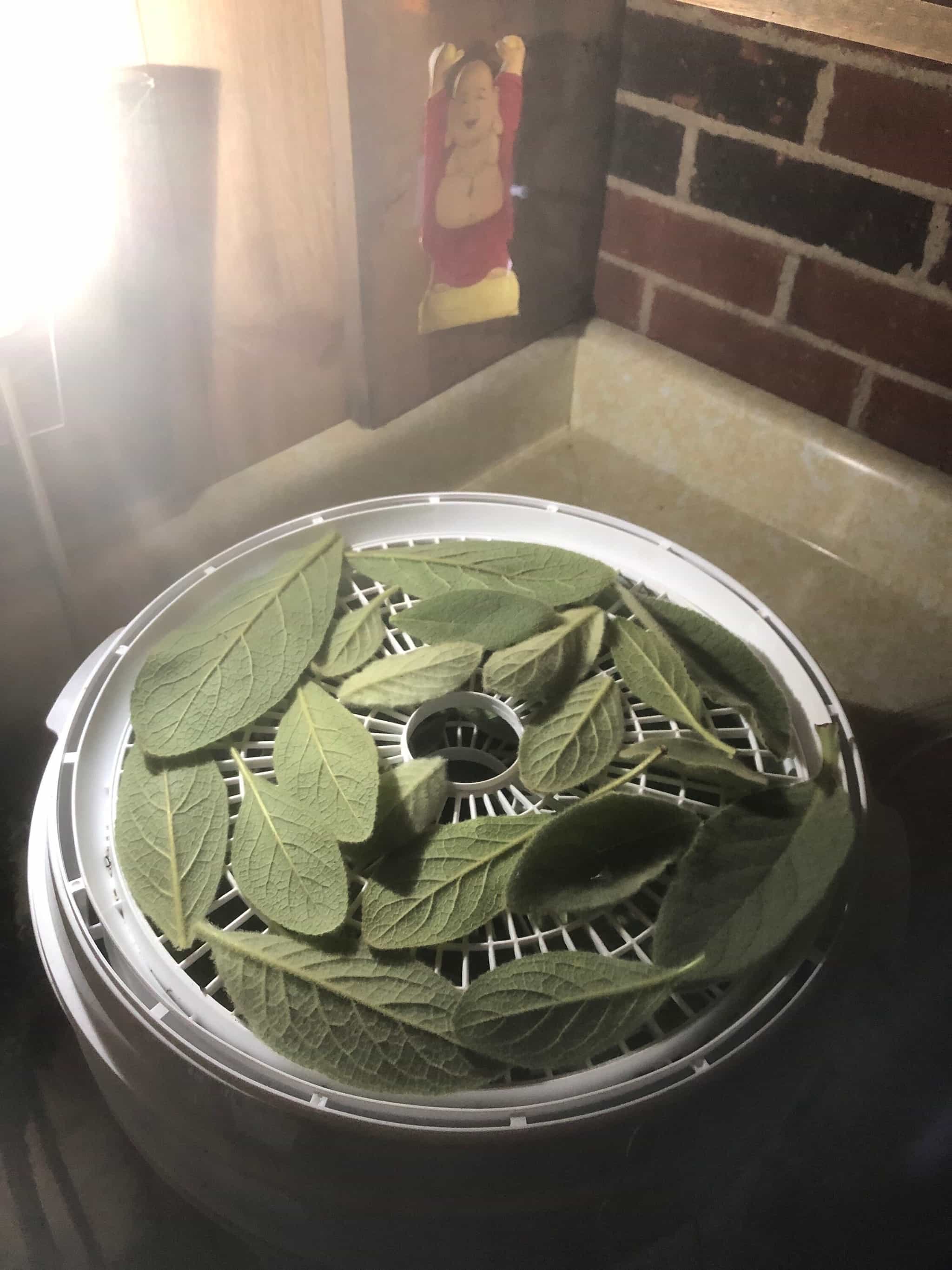 Product image #3