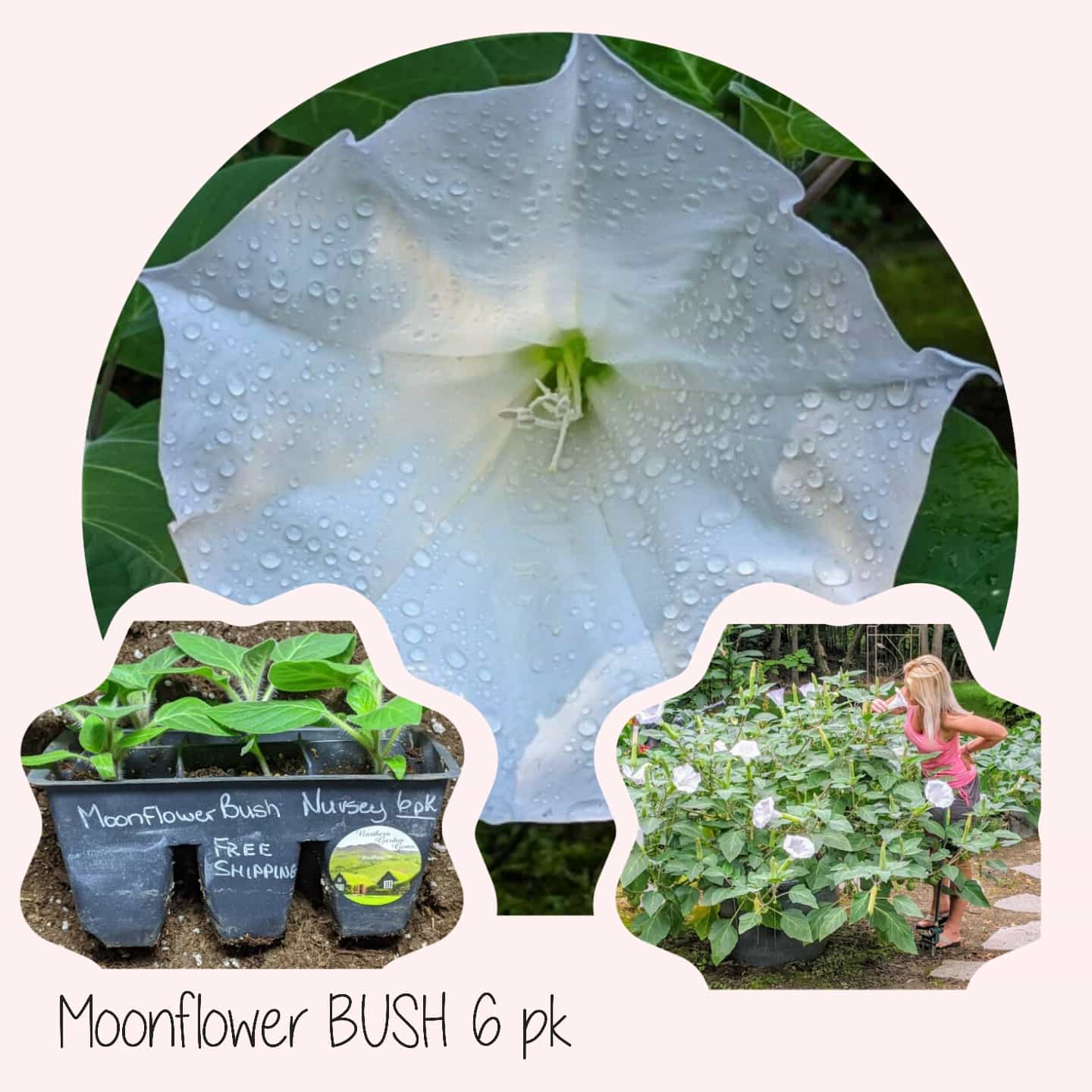 Product image #5