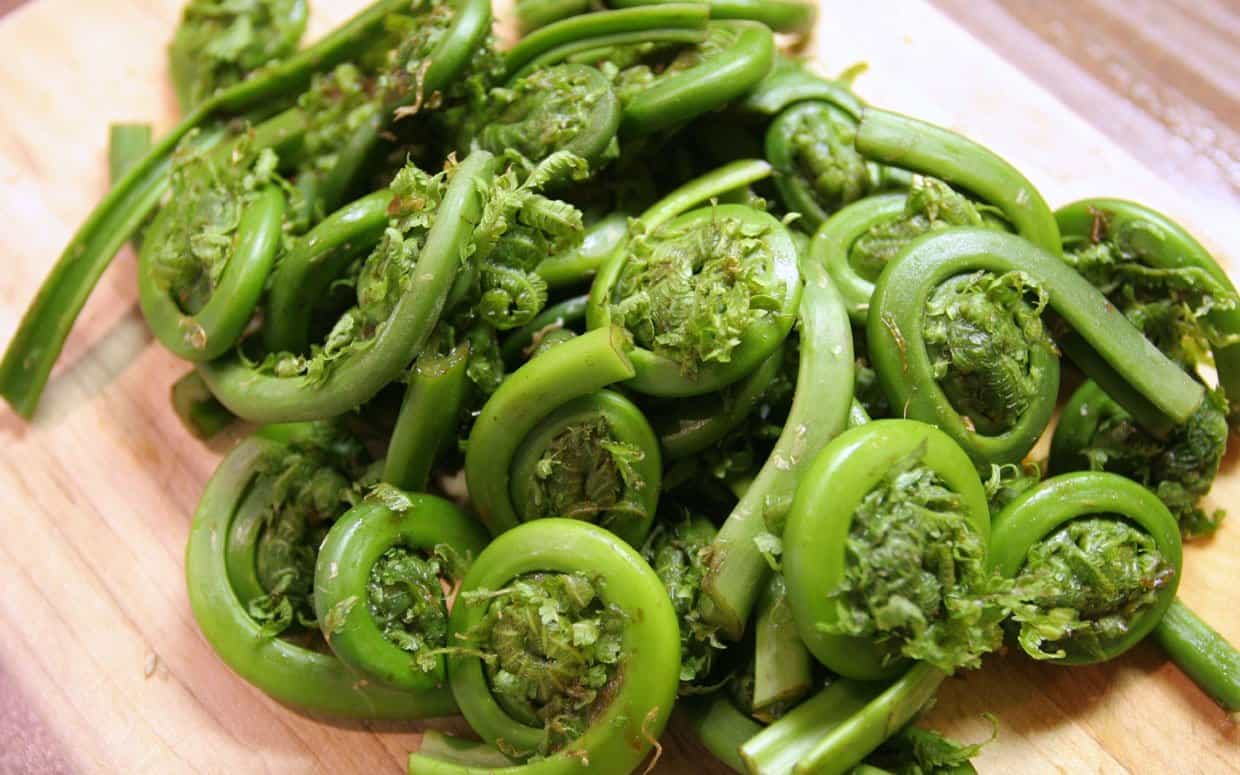 Fiddleheads (Eastern), 1 lb.