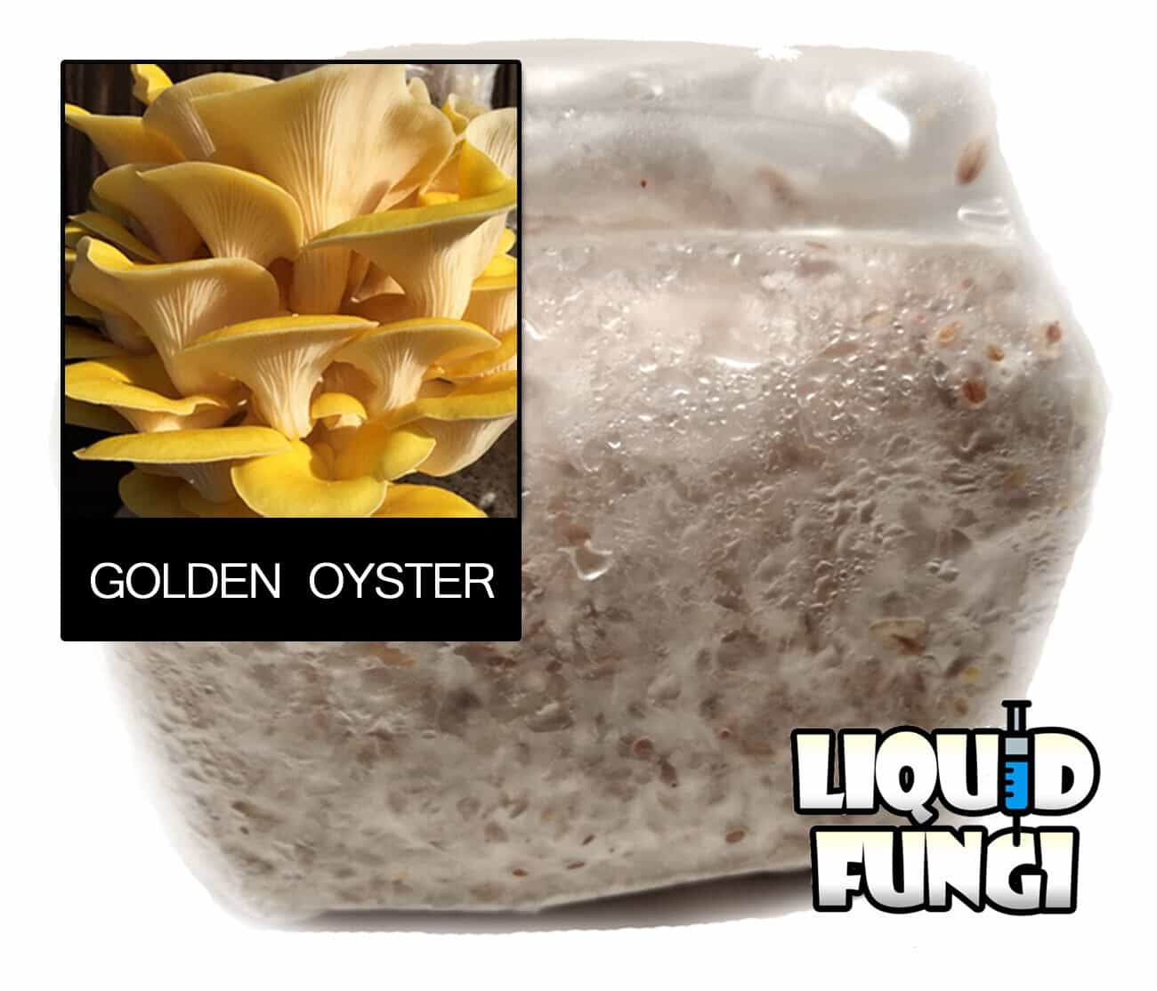 Product image #0