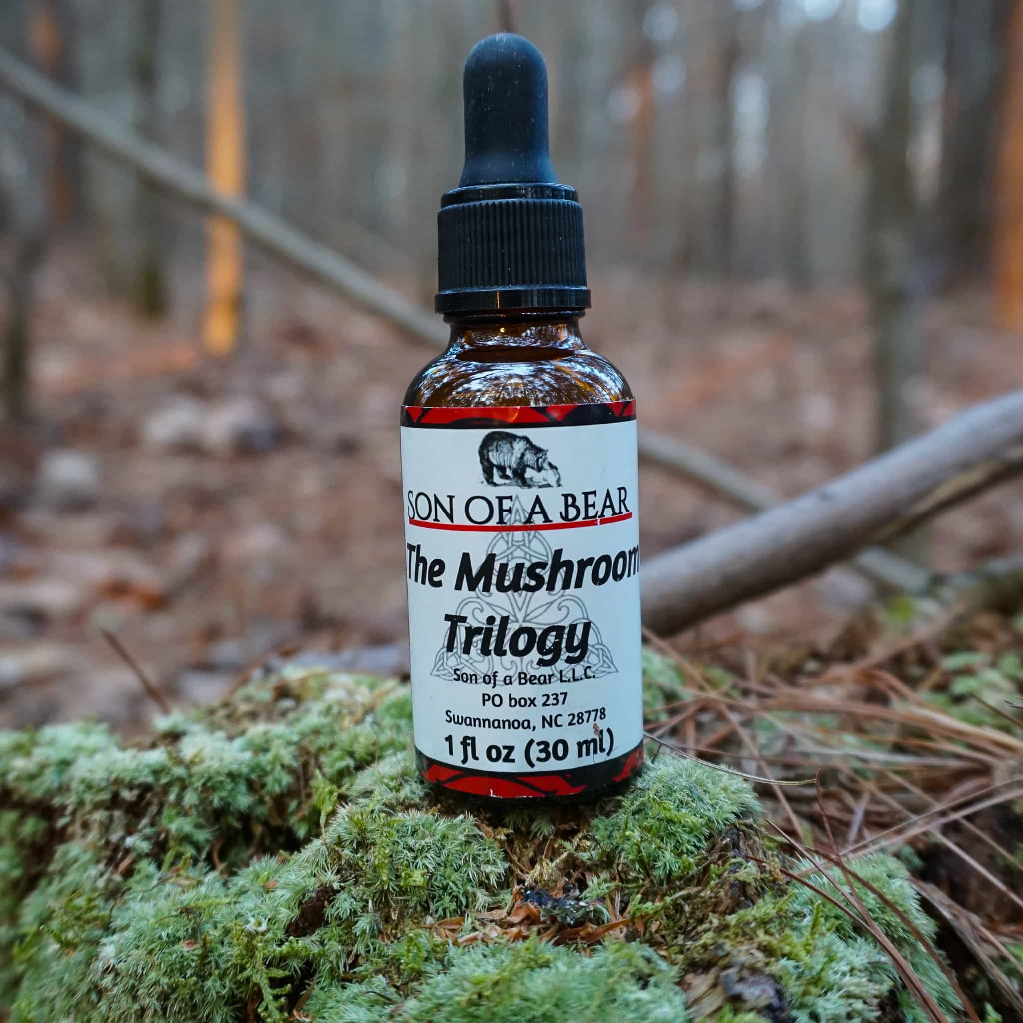 Reishi, Chaga and Lion's Mane Mushroom Tincture. Wild and Organic Mushroom Extract