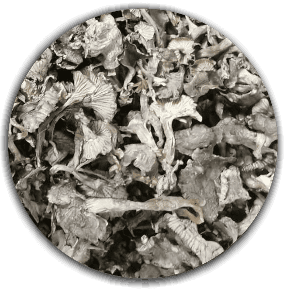 Dried Craterellus cinereus (The Fragrant Trumpet) - First grade