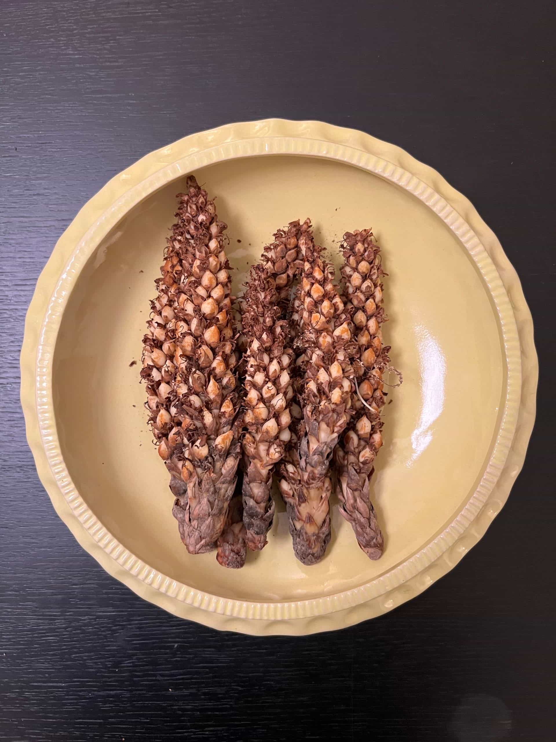 Product image #0