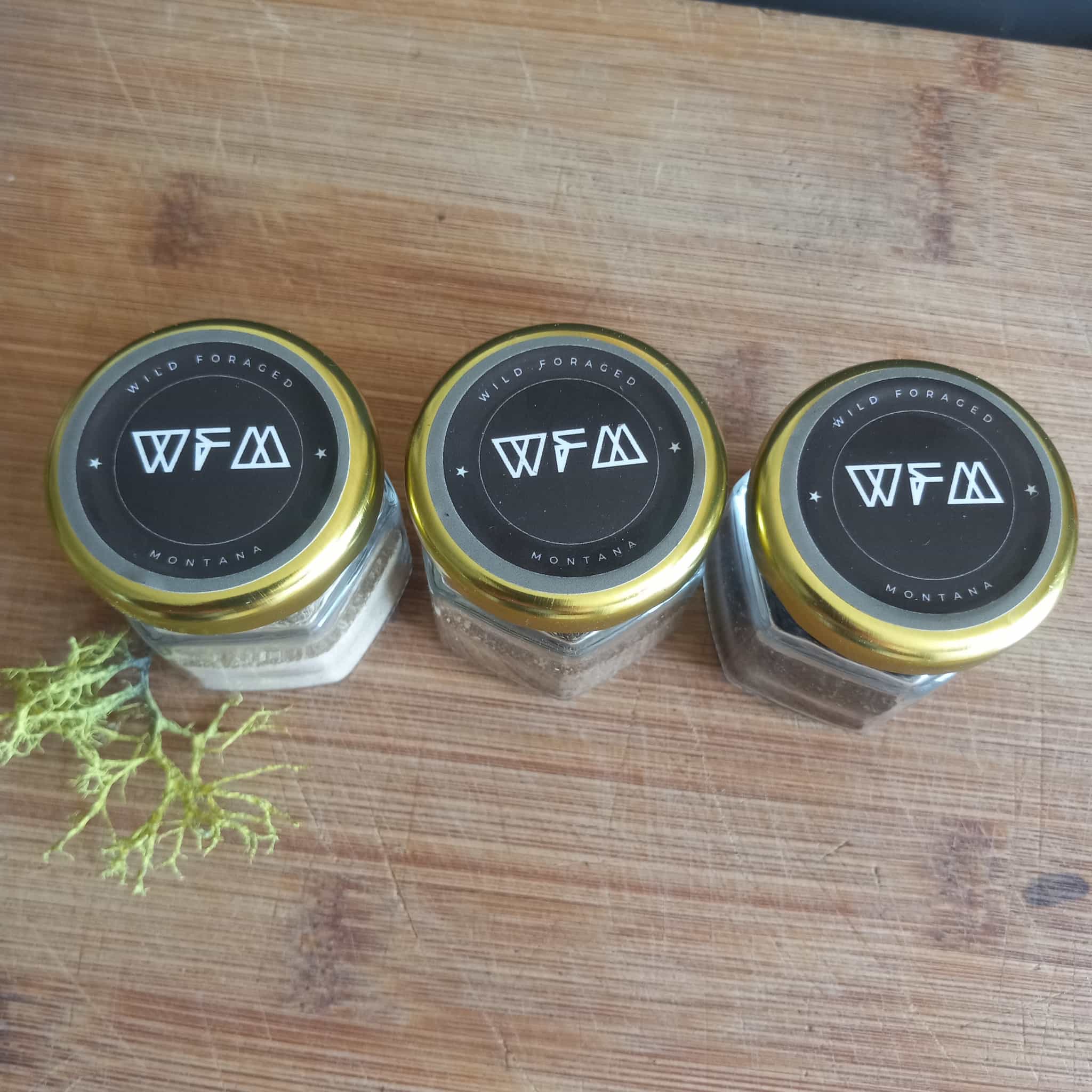 Wild Mushroom Spice Blend Trio