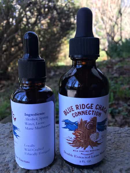 2oz double extracted Lions Mane tincture