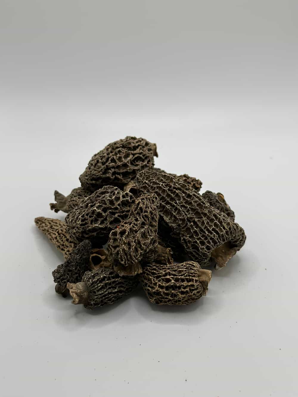 Dried Wild Gray Morel Mushrooms 1 oz. Foraged