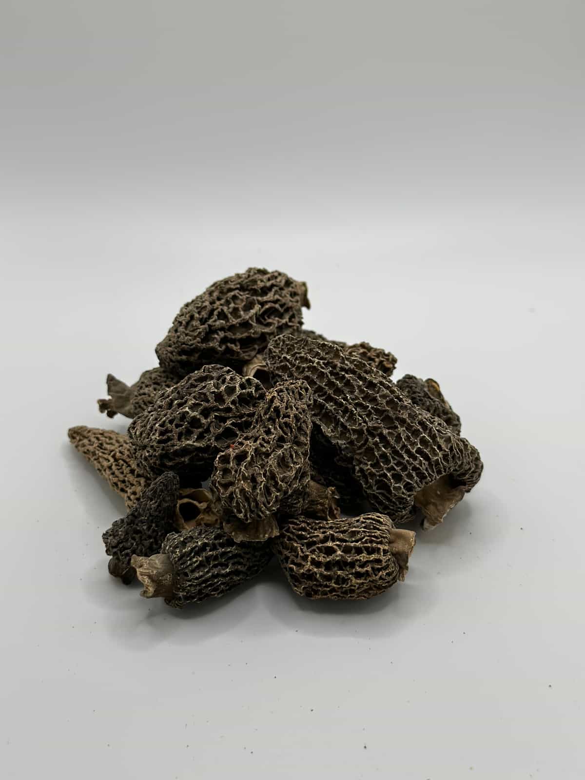 Dried Wild Gray Morel Mushrooms 1 oz. Foraged