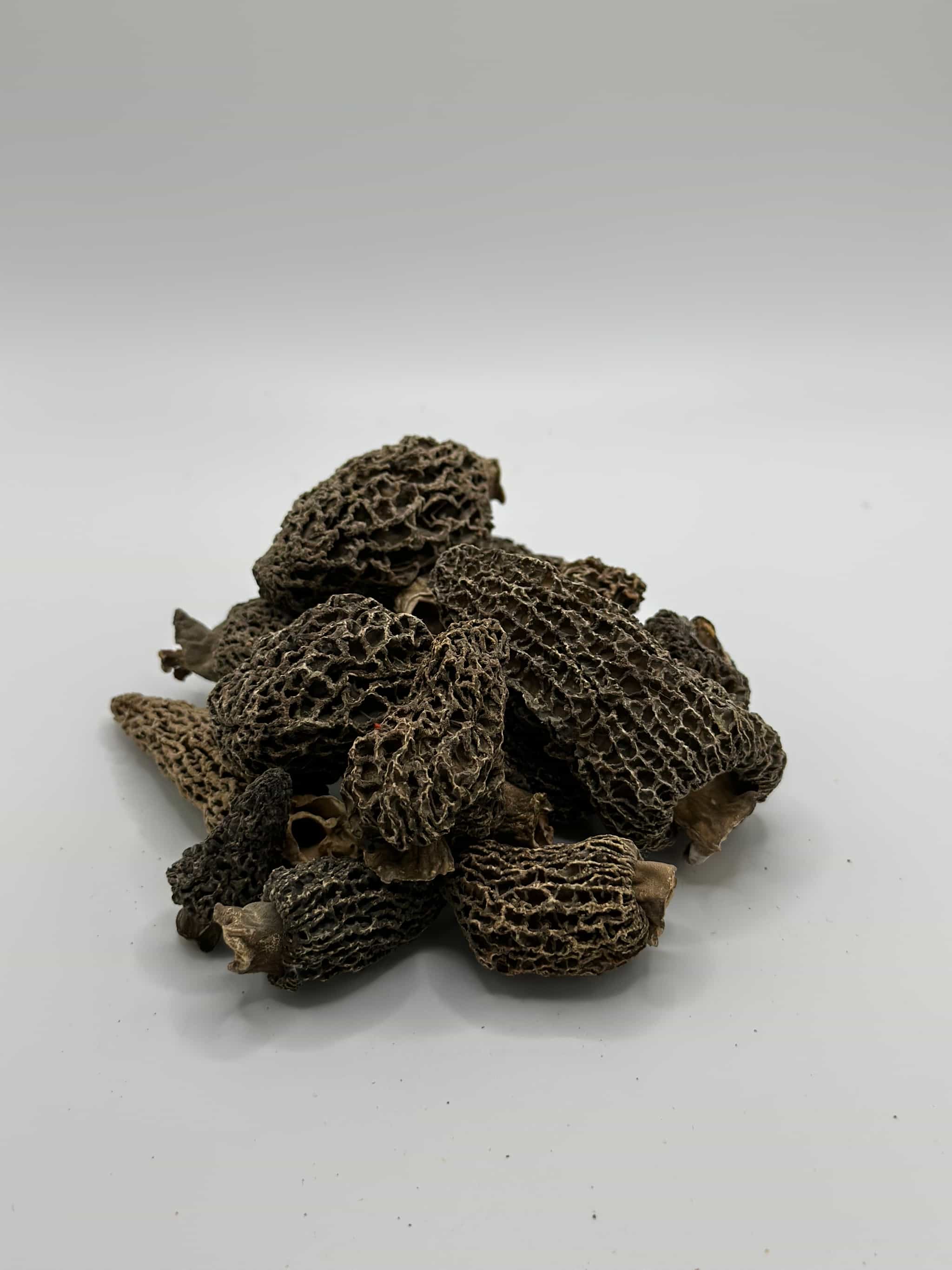 Dried Wild Gray Morel Mushrooms - 1 oz. 